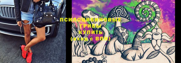 стаф Алексин