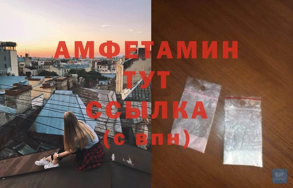 молекула духа Алексеевка