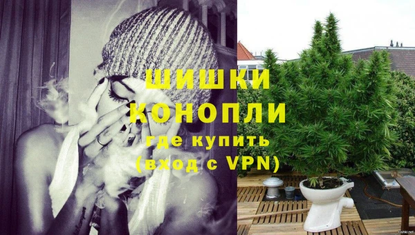 гидропоника Новозыбков